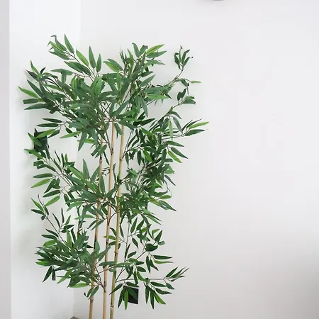 Apartamento Le Carlton Liège