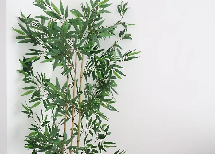 Apartment Le Carlton Liege